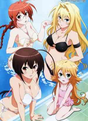 Sekirei: Pure Engagement